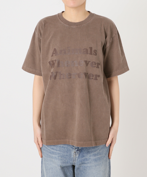 FRAMeWORK(フレームワーク)の「STUDIO ANIMALS 別注WHENEVER WH(Tシャツ/カットソー・レディース・ネイビー/ブラウン/ライトグレー・FREE)」の10枚目の写真