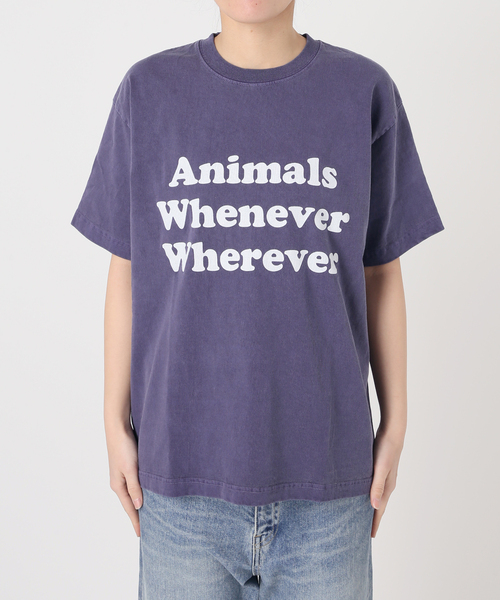 FRAMeWORK(フレームワーク)の「STUDIO ANIMALS 別注WHENEVER WH(Tシャツ/カットソー・レディース・ネイビー/ブラウン/ライトグレー・FREE)」の12枚目の写真
