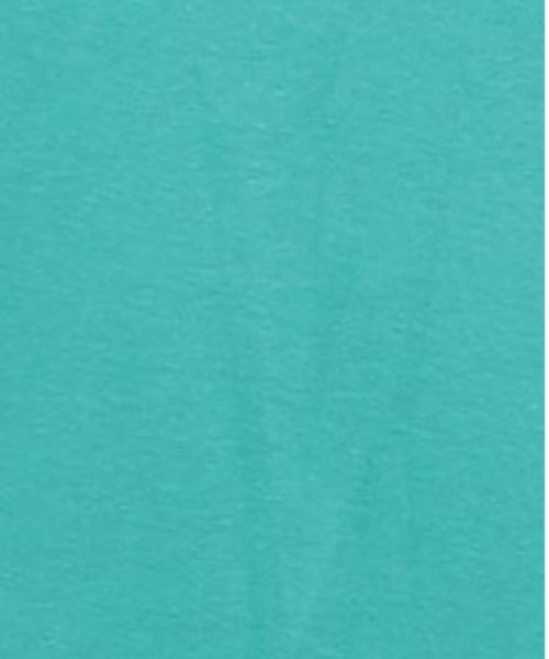 n'OrLABEL（ノアールレーベル）の「『ロングタンク』（タンクトップ・レディース・杢グレー/ブラック/グリーン/ダークグレー/カーキ/ブルー/オフホワイト/ブラック×ホワイト/ネイビー/ライム/ブラウン/ターコイズブルー/レッド/ピンク/レッド系その他/バイオレット/イエロー/ライトグリーン/ラベンダー/サーモンピンク/ミント/テラコッタ/プラム/ブルーグリーン/ダークラベンダー/マスタード・1/2）」の14枚目の写真