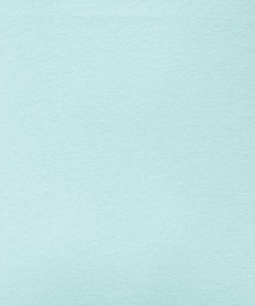 n'OrLABEL（ノアールレーベル）の「『ロングタンク』（タンクトップ・レディース・杢グレー/ブラック/グリーン/ダークグレー/カーキ/ブルー/オフホワイト/ブラック×ホワイト/ネイビー/ライム/ブラウン/ターコイズブルー/レッド/ピンク/レッド系その他/バイオレット/イエロー/ライトグリーン/ラベンダー/サーモンピンク/ミント/テラコッタ/プラム/ブルーグリーン/ダークラベンダー/マスタード・1/2）」の12枚目の写真