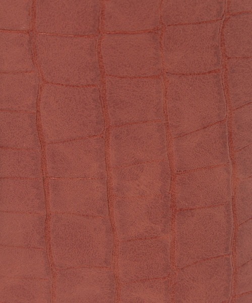 Heather（ヘザー）の「バニティバッグ　894841（ショルダーバッグ・レディース・ブラウン系その他2/レッド系その他/レオパード/ベージュ・ONESIZE）」の21枚目の写真