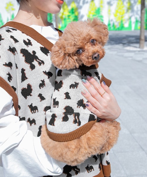 PairPair(ペアペア)の「【ペットとリンクコーデ】シルエットニットベスト(ベスト・レディース・アイボリー・フリー)」の6枚目の写真