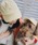 ROPE' PICNICiysNjbNj́uyUVJbgERۖhLE􂦂zVCj[obN{Lbv/NR[fiLbvjvbN[