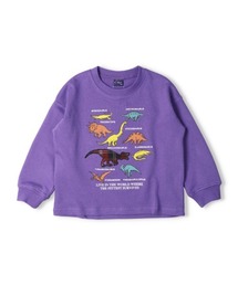 crescent�i�N���Z���g�j�́u�����ԁE�����A�b�v���P���уg���[�i�[�i�X�E�F�b�g�j�v