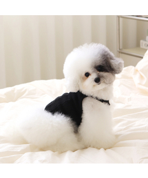 CHIOT（シュオト）の「シオートミューズニットトップ（ブラック）（ペットウェア）」