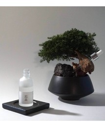 L.H.P（エルエイチピー）の「JAKOU/寂香/ジャコウ/盆栽-BONSAI diffuser-（ルームフレグランス/お香）」