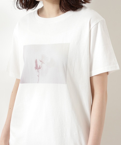 N.(N. Natural Beauty Basic)(エヌエヌナチュラルビューティーベーシック)の「◆フォトプリントTシャツ(Tシャツ/カットソー・レディース・オフホワイト/スミクロ・MEDIUM)」の6枚目の写真