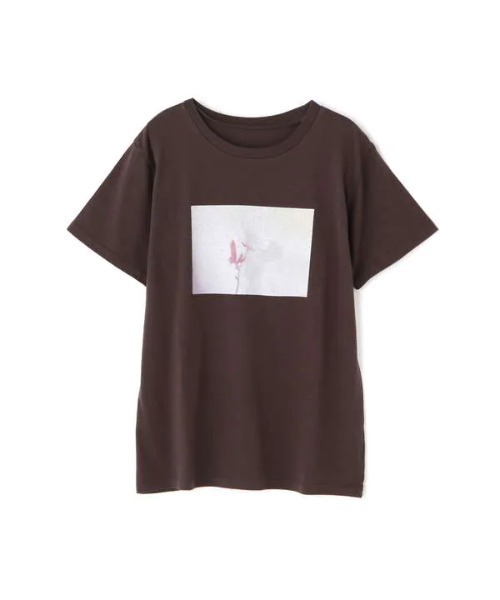 N.(N. Natural Beauty Basic)(エヌエヌナチュラルビューティーベーシック)の「◆フォトプリントTシャツ(Tシャツ/カットソー・レディース・オフホワイト/スミクロ・MEDIUM)」の14枚目の写真