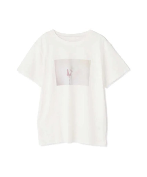 N.(N. Natural Beauty Basic)(エヌエヌナチュラルビューティーベーシック)の「◆フォトプリントTシャツ(Tシャツ/カットソー・レディース・オフホワイト/スミクロ・MEDIUM)」の12枚目の写真