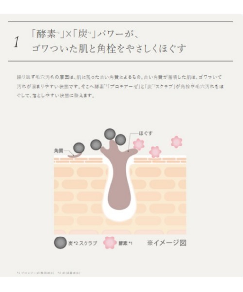 DUO(デュオ)の「デュオ ザ ウォッシュ ブラックリペア 洗顔パウダー 40g(洗顔料・レディース・その他・FREE)」の12枚目の写真