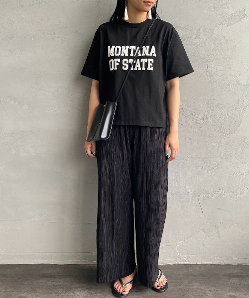 JEANS FACTORY （ジーンズファクトリー）の「[MAISON DE L'ALLURE/メゾンドゥラリュール] カレッジロゴ 発泡プリントTシャツ（Tシャツ/カットソー・レディース・オフホワイト/ベージュ/ブラック/ミント・F）」の12枚目の写真