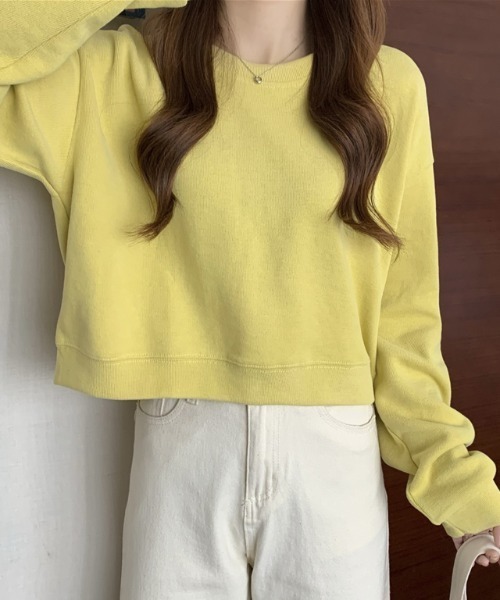 AMAJI(アマジ)の「長袖ショート Tシャツデザインセンスニッチトップスオールマッチセーター(ニット/セーター・レディース・ライトブルー/ライトグレー/ライトグリーン/イエロー/アイボリー/ブラック・FREE)」の6枚目の写真