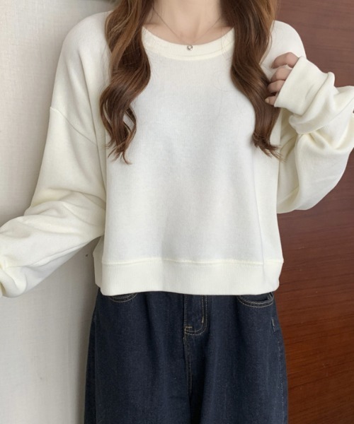 AMAJI(アマジ)の「長袖ショート Tシャツデザインセンスニッチトップスオールマッチセーター(ニット/セーター・レディース・ライトブルー/ライトグレー/ライトグリーン/イエロー/アイボリー/ブラック・FREE)」の13枚目の写真
