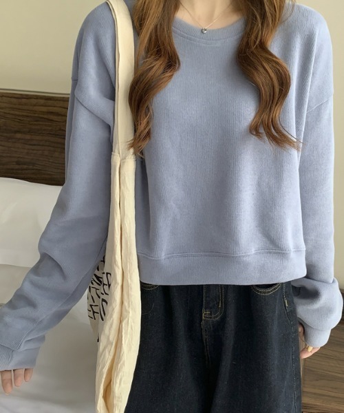 AMAJI(アマジ)の「長袖ショート Tシャツデザインセンスニッチトップスオールマッチセーター(ニット/セーター・レディース・ライトブルー/ライトグレー/ライトグリーン/イエロー/アイボリー/ブラック・FREE)」の19枚目の写真
