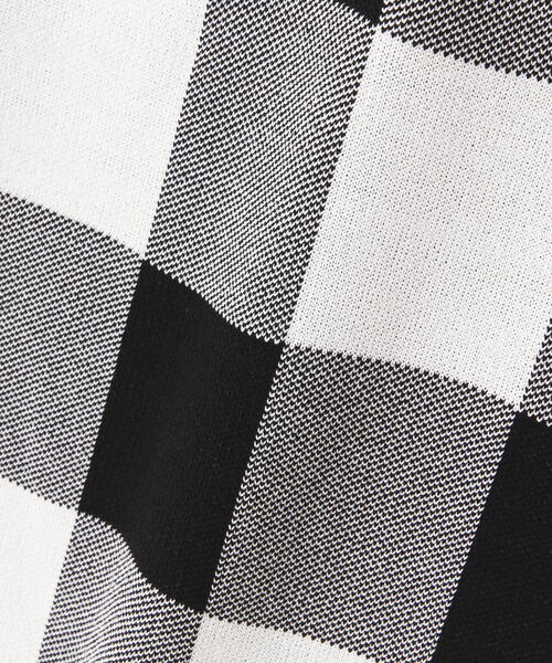 N.（N. Natural Beauty Basic）（エヌエヌナチュラルビューティーベーシック）の「◆ギンガムチェックジャガードスカート（スカート・レディース・ブラック系その他/ブラウン系その他・MEDIUM）」の9枚目の写真
