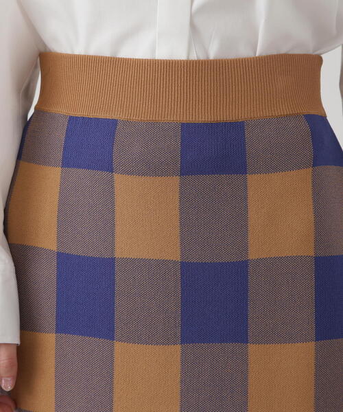 N.（N. Natural Beauty Basic）（エヌエヌナチュラルビューティーベーシック）の「◆ギンガムチェックジャガードスカート（スカート・レディース・ブラック系その他/ブラウン系その他・MEDIUM）」の21枚目の写真