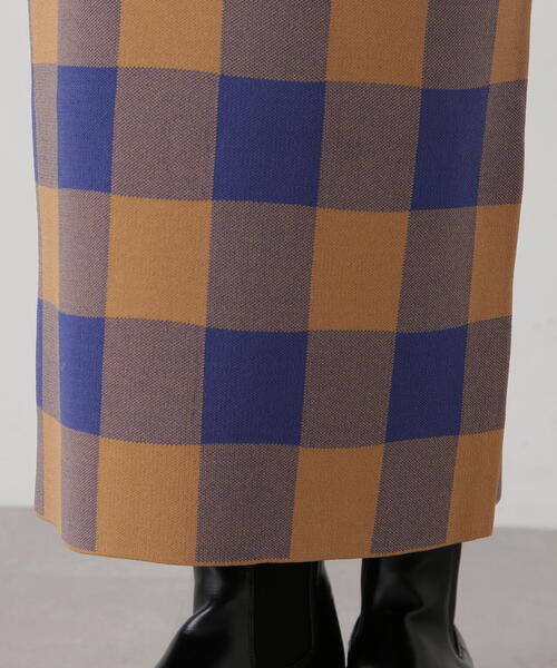 N.（N. Natural Beauty Basic）（エヌエヌナチュラルビューティーベーシック）の「◆ギンガムチェックジャガードスカート（スカート・レディース・ブラック系その他/ブラウン系その他・MEDIUM）」の22枚目の写真