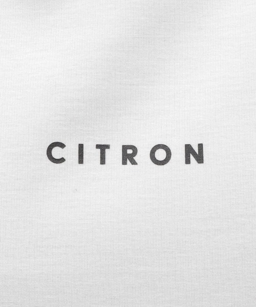 LAKOLE(ラコレ)の「ピンタックロゴ半袖T / 108805(Tシャツ/カットソー・メンズ・ホワイト/ダークオリーブ/ブラック/ピンク・LARGE/MEDIUM)」の19枚目の写真