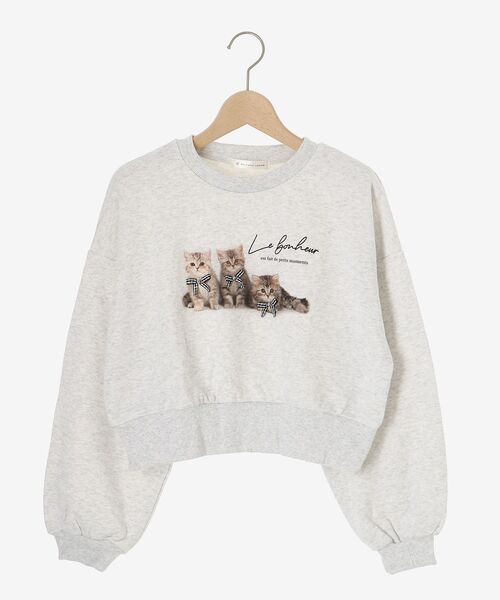 MAJESTIC LEGON(マジェスティックレゴン)の「アソートビジューネコスウェット(スウェット・レディース・C/B/A・MEDIUM)」の12枚目の写真