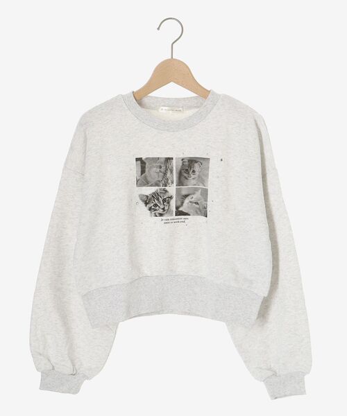MAJESTIC LEGON(マジェスティックレゴン)の「アソートビジューネコスウェット(スウェット・レディース・C/B/A・MEDIUM)」の13枚目の写真