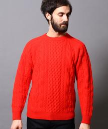 BEAUTY&YOUTH UNITED ARROWS | BY アラン クルーネックニット◆(ニット/セーター)