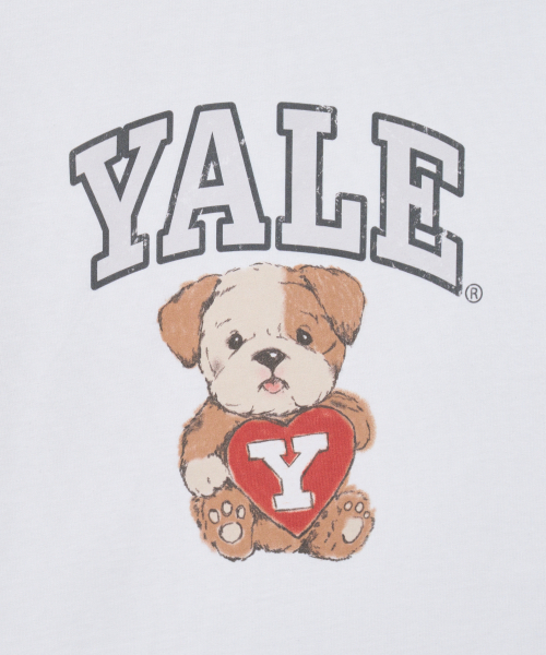 YALE(イェール)の「ウィメンズテディダンス半袖Tシャツ_ホワイト(Tシャツ/カットソー・レディース・その他・SMALL/MEDIUM)」の5枚目の写真