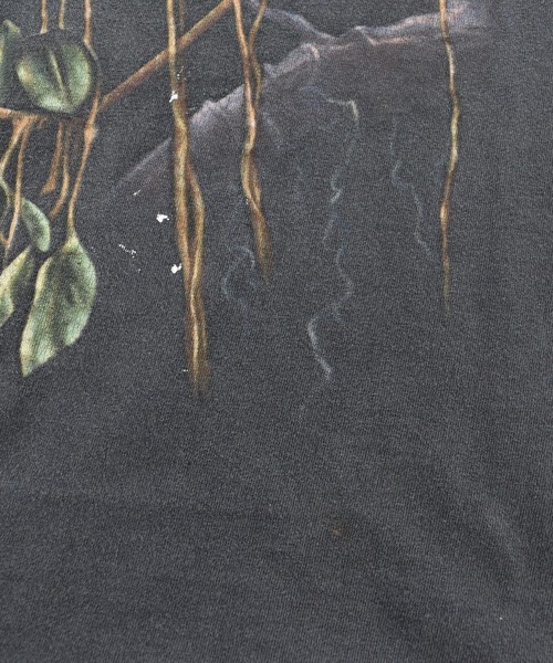 LABORATORY R(ラボラトリーアール)の「【USED】90’s “Leopard” アニマル Tシャツ USA製(Tシャツ/カットソー・メンズ・ブラック・X-LARGE)」の3枚目の写真