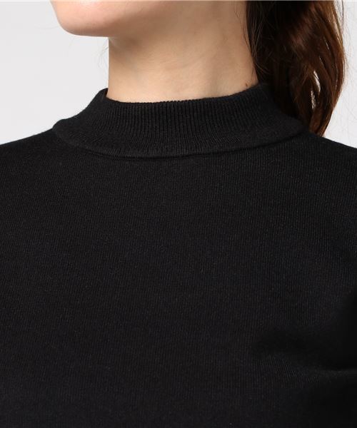 N.(N. Natural Beauty Basic)(エヌエヌナチュラルビューティーベーシック)の「ハイネックフレアワンピース(ワンピース・レディース・ブラック/ベージュ/グレー/ブルー・MEDIUM)」の13枚目の写真