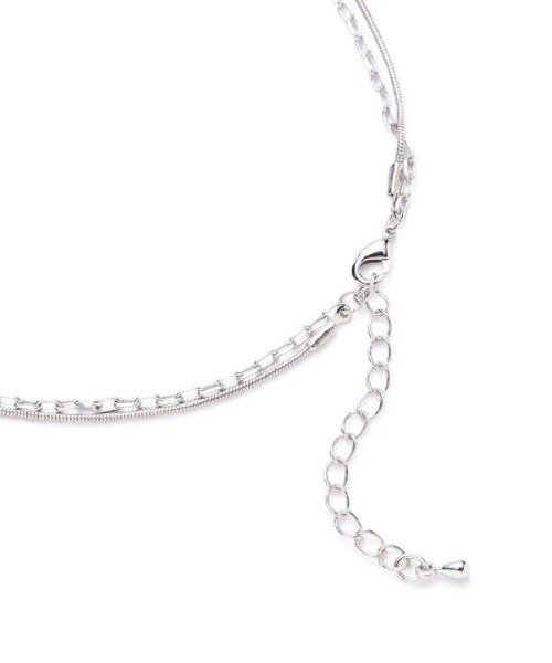 N.（N. Natural Beauty Basic）（エヌエヌナチュラルビューティーベーシック）の「コイン２連ロングネックレス（ネックレス・レディース・シルバー・FREE）」の4枚目の写真