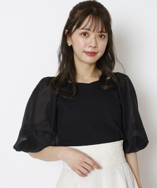 WILLSELECTION（ウィルセレクション）の「ソフトオーガンジー袖カットソープルオーバー（Tシャツ/カットソー・レディース・ピンク/ブラック/オフホワイト・MEDIUM）」の2枚目の写真