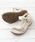 SCANDINAVIAN FORESTiXJWirAEtHXgj́uySCANDINAVIAN FOREST/XJWirA tHXgzxNX|[cT_iT_jvbzCg