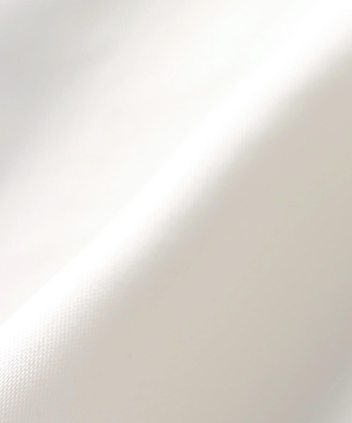 DRESSLAVE（ドレスレイブ）の「cupro panel flare skirt(キュプラパネルフレアスカート)（スカート・レディース・グレー/ホワイト・38）」の15枚目の写真