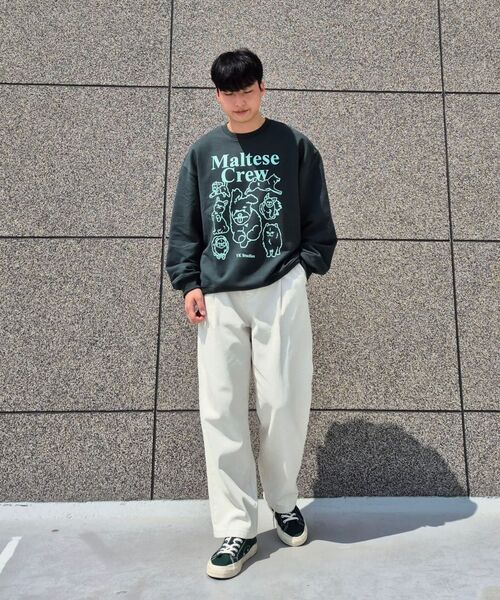 WaiKei(ワイケイ)の「マルチーズクルーライングラフィックスウェットグリーン(スウェット・レディース・その他・2/3)」の12枚目の写真