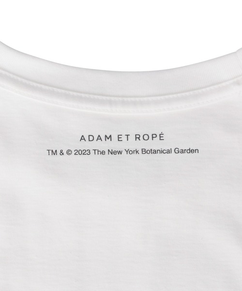 ASSEMBLY NEW YORK　グラフィックプリントスウェット　アダムエロペ ADAM ET ROPÉ HOMME(アダム エ ロペ オム) / 《別注》【SPALDING