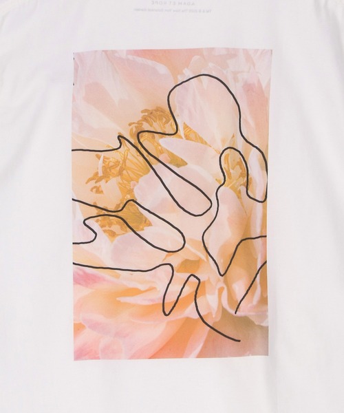 ADAM ET ROPE'(アダムエロペ)の「【The New York Botanical Garden for ADAM ET ROPE'】NYBG PHOTO TEE(Tシャツ/カットソー・レディース・ホワイト/ホワイト系その他・FREE)」の19枚目の写真