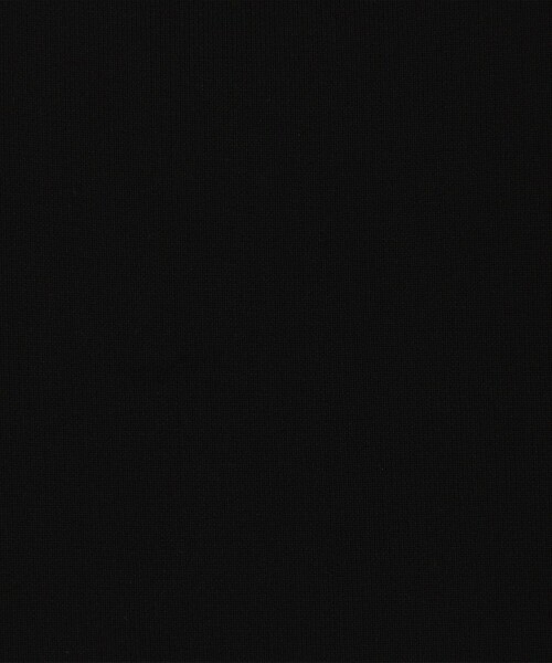 NOLLEY’S Sophi（ノーリーズソフィ）の「《手洗い可能》総針ビスチェ（ニット/セーター・レディース・ベージュ/ブラック・38）」の19枚目の写真