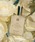 Her lip to BEAUTYin[bvgDr[eB[j́uPerfume Oil - ROSE BLANCHE -i{fBPA/{fBN[jvb