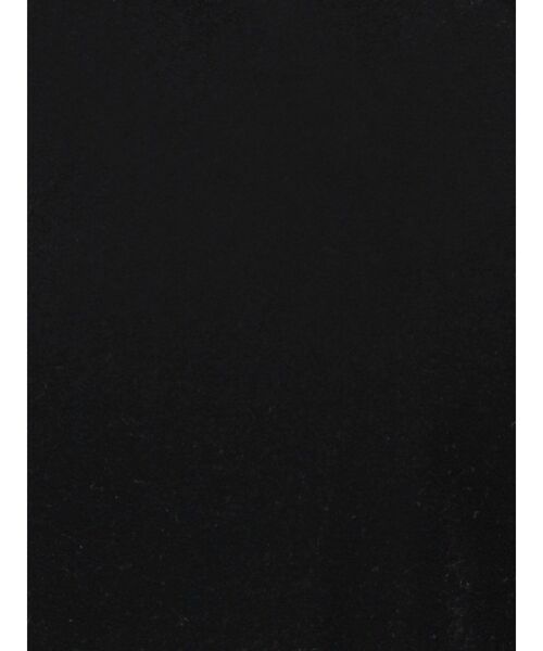 LAGUNAMOON（ラグナムーン）の「ベロアノースリーブトップス（Tシャツ/カットソー・レディース・ブラック/アイボリー/モカ・FREE）」の13枚目の写真