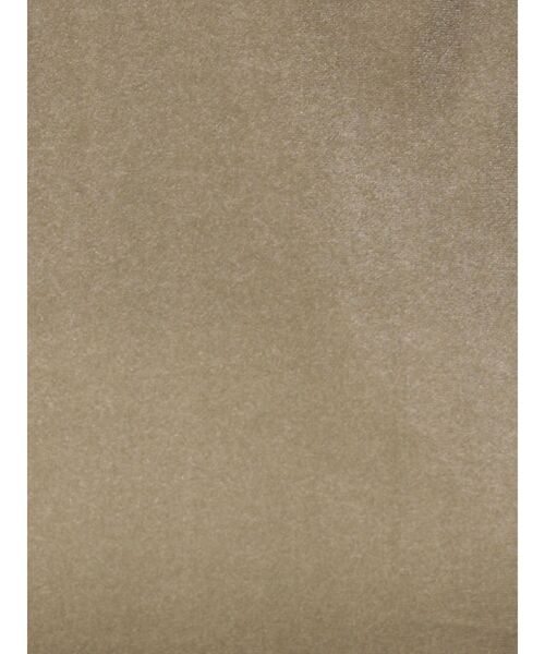 LAGUNAMOON（ラグナムーン）の「ベロアノースリーブトップス（Tシャツ/カットソー・レディース・ブラック/アイボリー/モカ・FREE）」の14枚目の写真