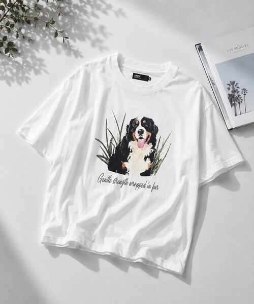 CRAFT STANDARD BOUTIQUE(クラフトスタンダードブティック)の「アソートアニマル柄ビッグTシャツ(Tシャツ/カットソー・メンズ・D/C/F/E/J/A/I/G/B/H・M/L)」の3枚目の写真