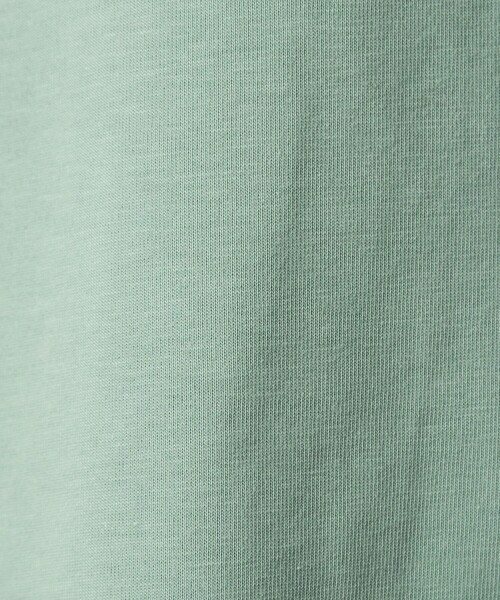 green label relaxing（グリーンレーベルリラクシング）の「バックスリット   プルオーバー カットソー 制菌（Tシャツ/カットソー・レディース・ダークグレー/オフホワイト/ブラウン/ライム・FREE）」の16枚目の写真