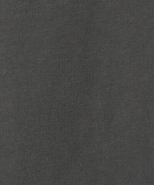green label relaxing（グリーンレーベルリラクシング）の「バックスリット   プルオーバー カットソー 制菌（Tシャツ/カットソー・レディース・ダークグレー/オフホワイト/ブラウン/ライム・FREE）」の18枚目の写真