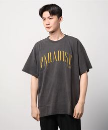 TAIN DOUBLE PUSH (タインダブルプッシュ)　PARADISE SHORT SLEEVE