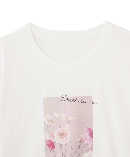 PROPORTION BODY DRESSING(プロポーションボディドレッシング)の「<E>フォトプリントTシャツ / 1212167402(Tシャツ/カットソー・レディース・ホワイト・FREE)」の16枚目の写真