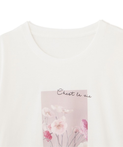 PROPORTION BODY DRESSING(プロポーションボディドレッシング)の「<E>フォトプリントTシャツ / 1212167402(Tシャツ/カットソー・レディース・ホワイト・FREE)」の5枚目の写真