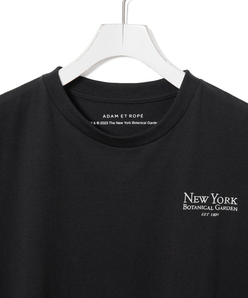 ADAM ET ROPE'（アダムエロペ）の「【The New York Botanical Garden for ADAM ET ROPE'】NYBG PHOTO TEE（Tシャツ/カットソー・レディース・ブラック/キャメル・FREE）」の14枚目の写真
