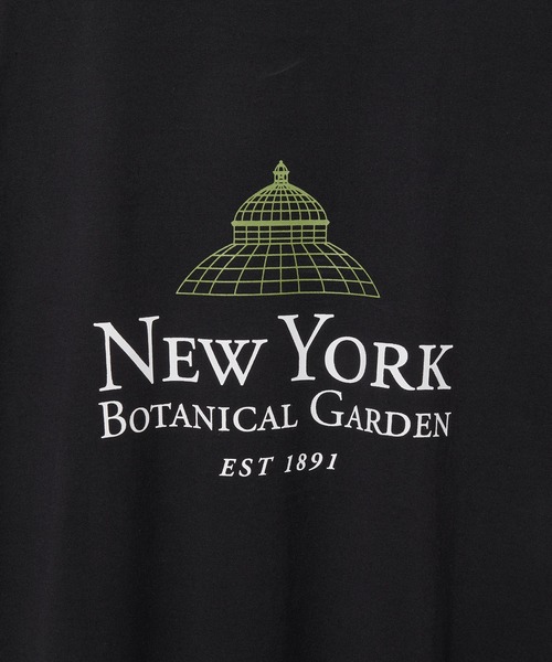 ADAM ET ROPE'（アダムエロペ）の「【The New York Botanical Garden for ADAM ET ROPE'】NYBG PHOTO TEE（Tシャツ/カットソー・レディース・ブラック/キャメル・FREE）」の17枚目の写真