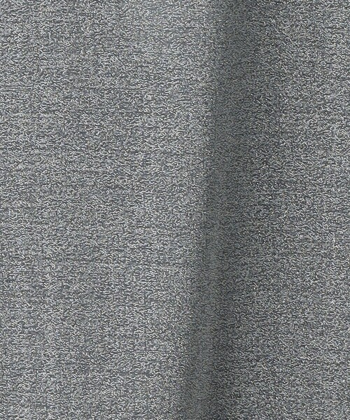 BEAUTY&YOUTH UNITED ARROWS(ビューティーアンドユースユナイテッドアローズ)の「ラメシアー ロングスリーブ カットソー(Tシャツ/カットソー・レディース・シルバー/ゴールド・FREE)」の20枚目の写真