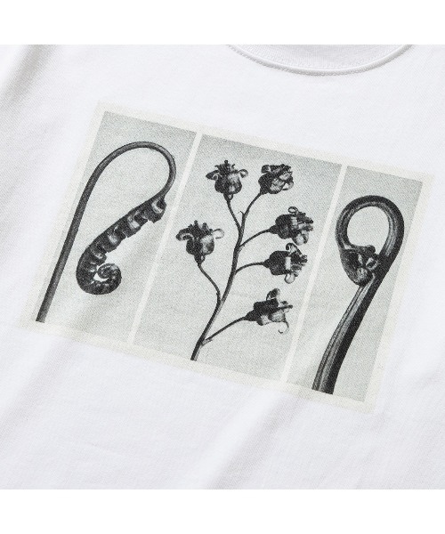 Kinetics（キネティクス）の「Kinetics WOMEN FLOWER T-SHIRT（キネティクスウィメン フラワー ティーシャツ）（Tシャツ/カットソー・メンズ・ブラック/ブラウン/ホワイト・FREE）」の7枚目の写真