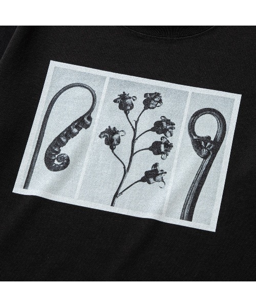 Kinetics（キネティクス）の「Kinetics WOMEN FLOWER T-SHIRT（キネティクスウィメン フラワー ティーシャツ）（Tシャツ/カットソー・メンズ・ブラック/ブラウン/ホワイト・FREE）」の12枚目の写真